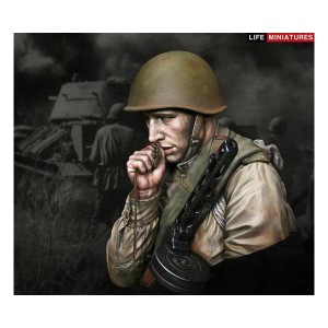 https://dejuguete.es/536-835-thickbox/young-red-army-infantryman.jpg